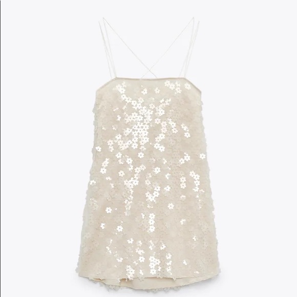 Zara Dresses & Skirts - Floral Sequin Dress, Zara Size Small